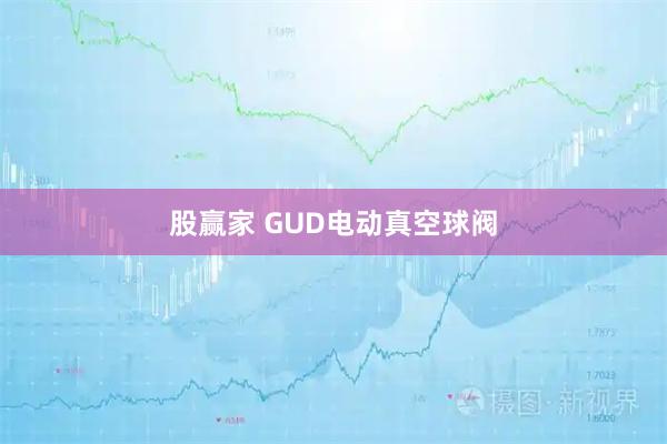 股赢家 GUD电动真空球阀